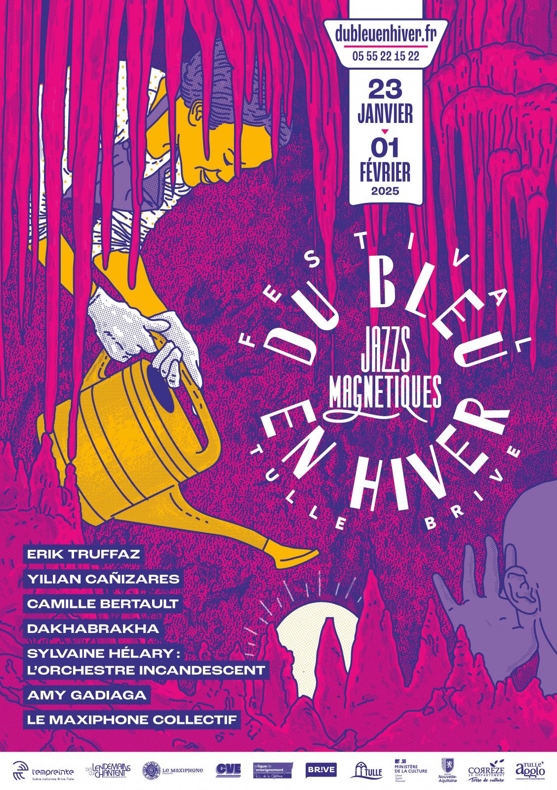 Affiche du festival Du Bleu en Hiver 2025